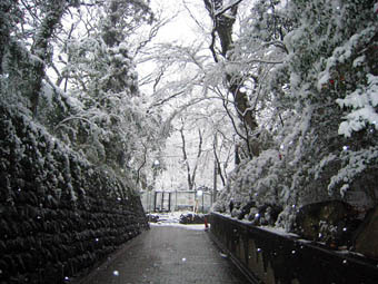 20060124-SNOW07.jpg