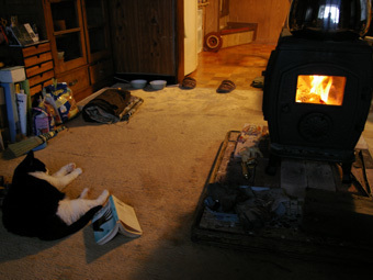 20080205-fire_and_cat.jpg