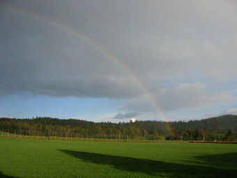 20080511-rainbow.jpg