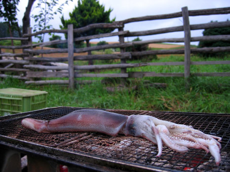 20090821-IMG_0541.JPG 20090821-IMG_0541.JPG